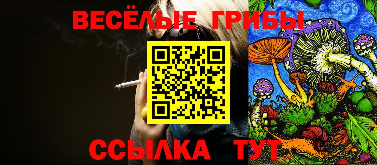 Псилоцибиновые грибы GOLDEN TEACHER Сальск