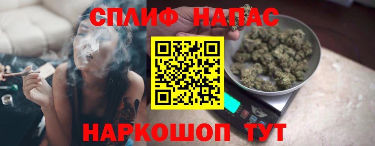 Бошки Шишки ГИДРОПОН Сальск